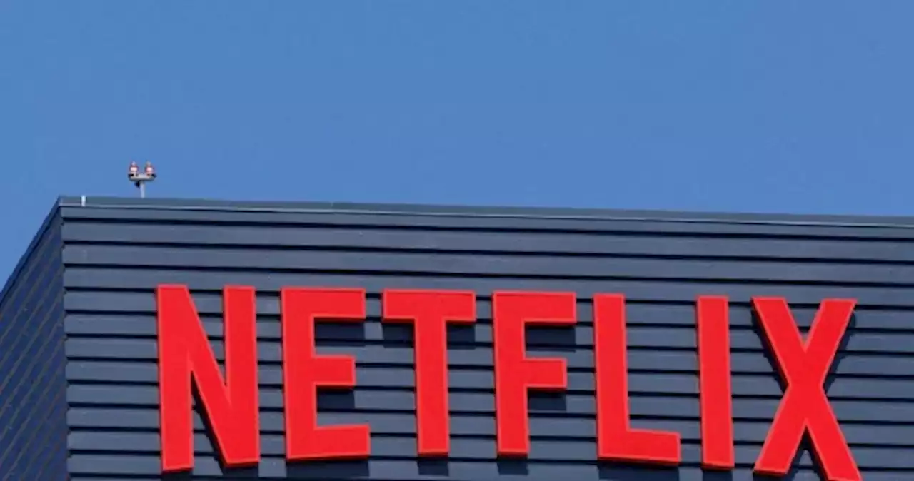 Netflix signups remain high, fuelled by password-sharing crackdown