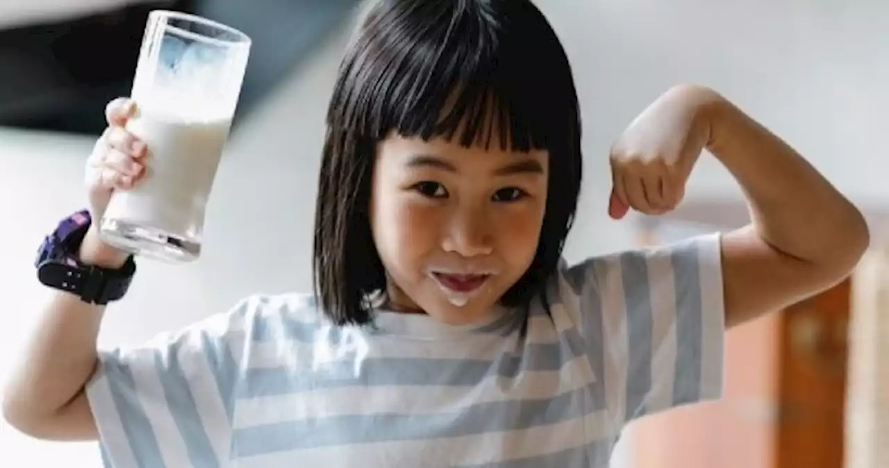 UHT vs fresh milk for toddler: 5 things you should know about milk for your child