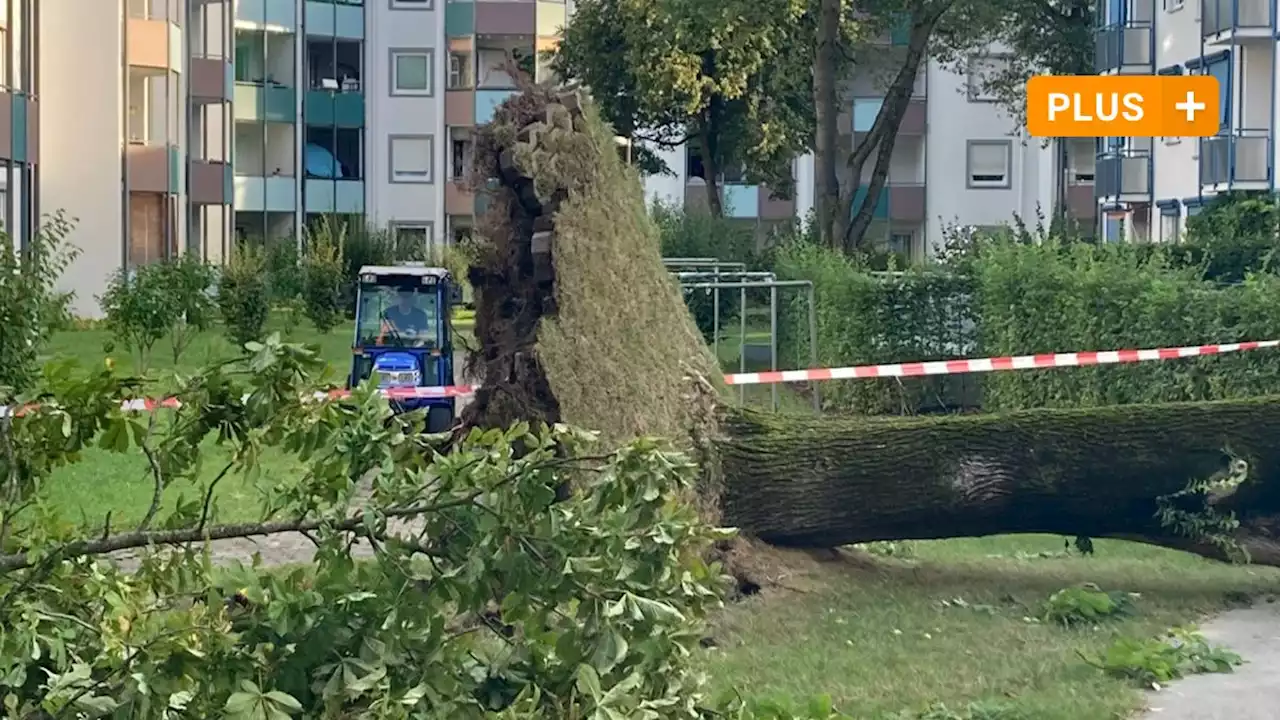 Umgestürzte Bäume, gesperrte Wege: Das Unwetter in Augsburg