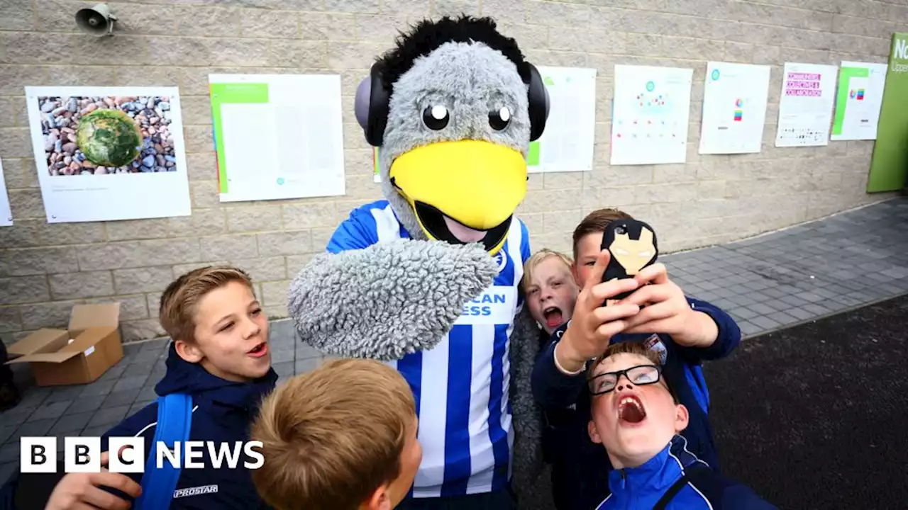 Brighton and Hove Albion ban player selfies after overcrowding and abuse