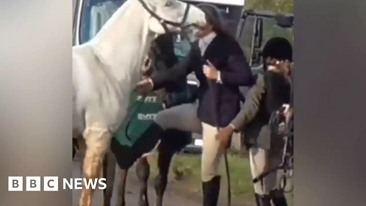 Leicestershire: Pony-kick woman cleared of animal cruelty