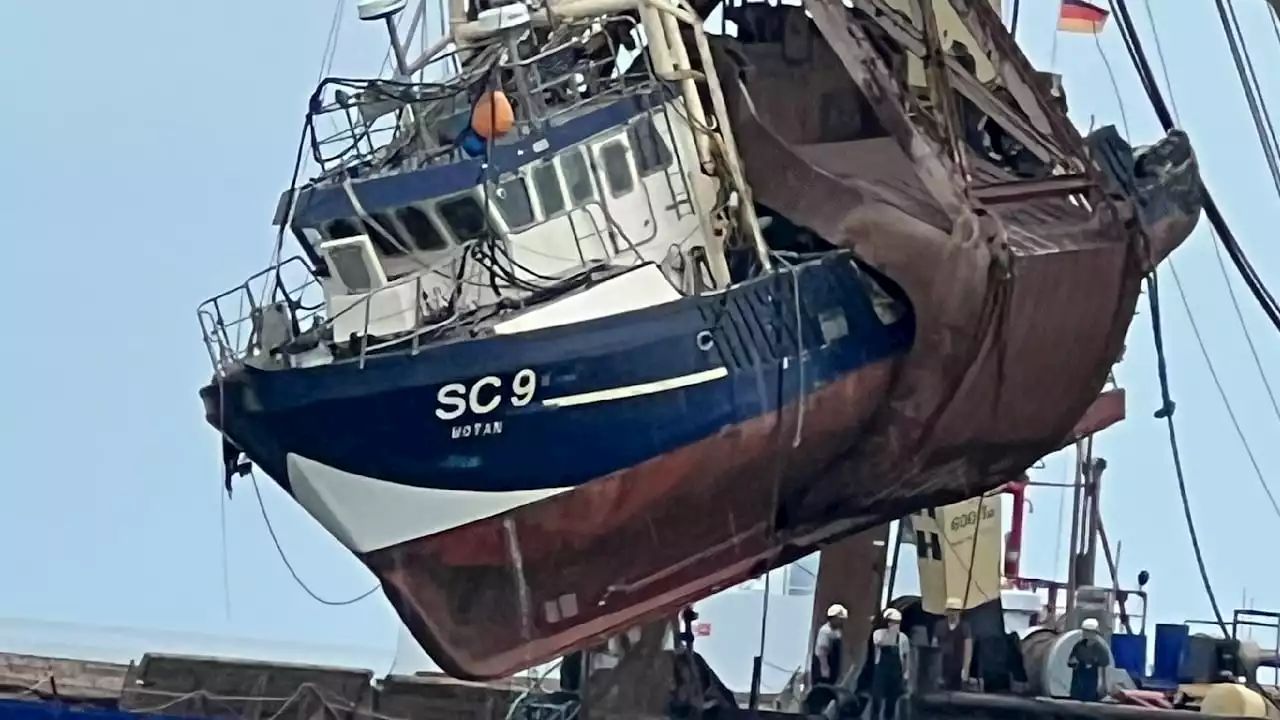 Das ist mal ein dicker Fang: Krabbenkutter aus der Nordsee geangelt