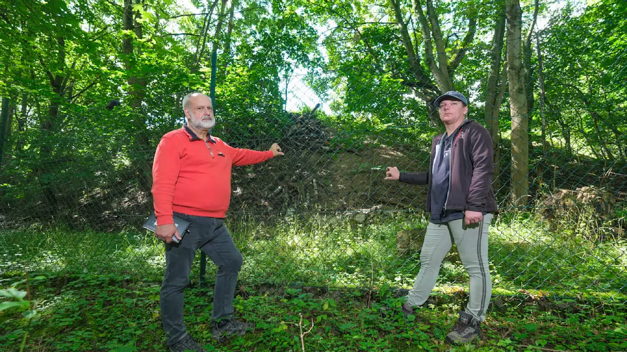 Goslar: In unserem Wald lagern 60 000 Tonnen Gift-Müll