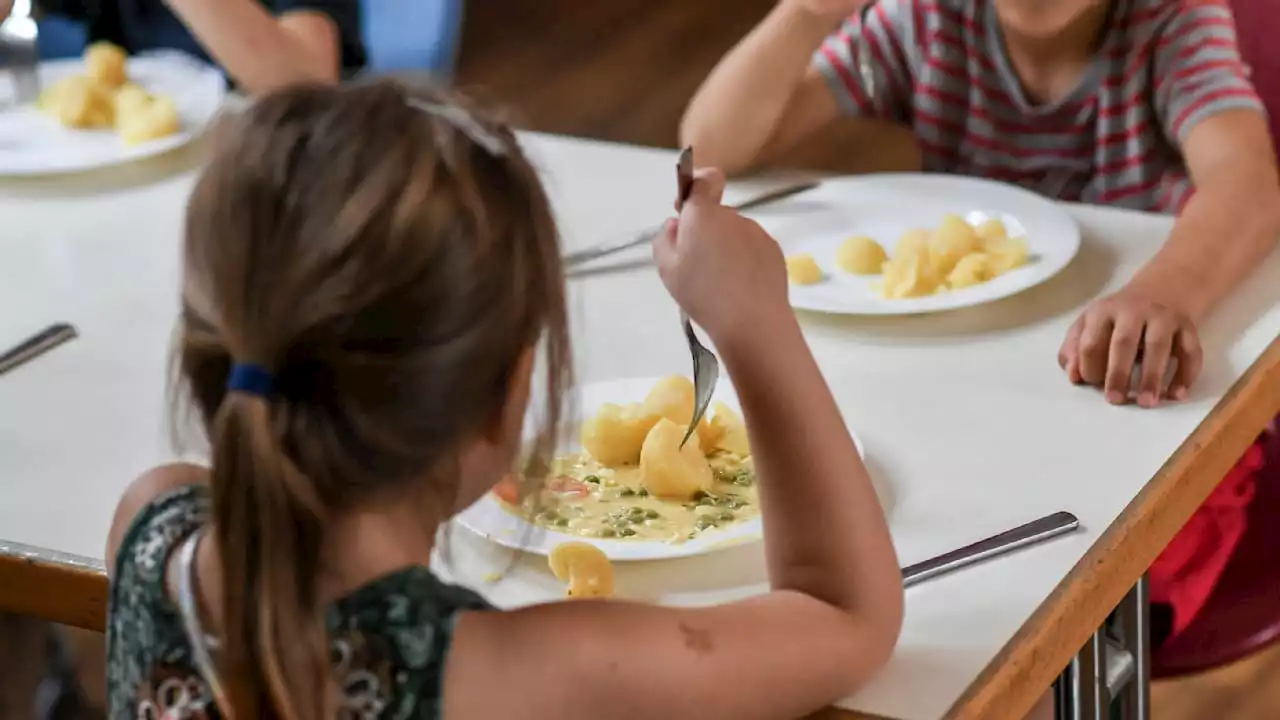 Vorrangig vegetarische Kost ab 2024: Nur einmal Fleisch beim Schulessen