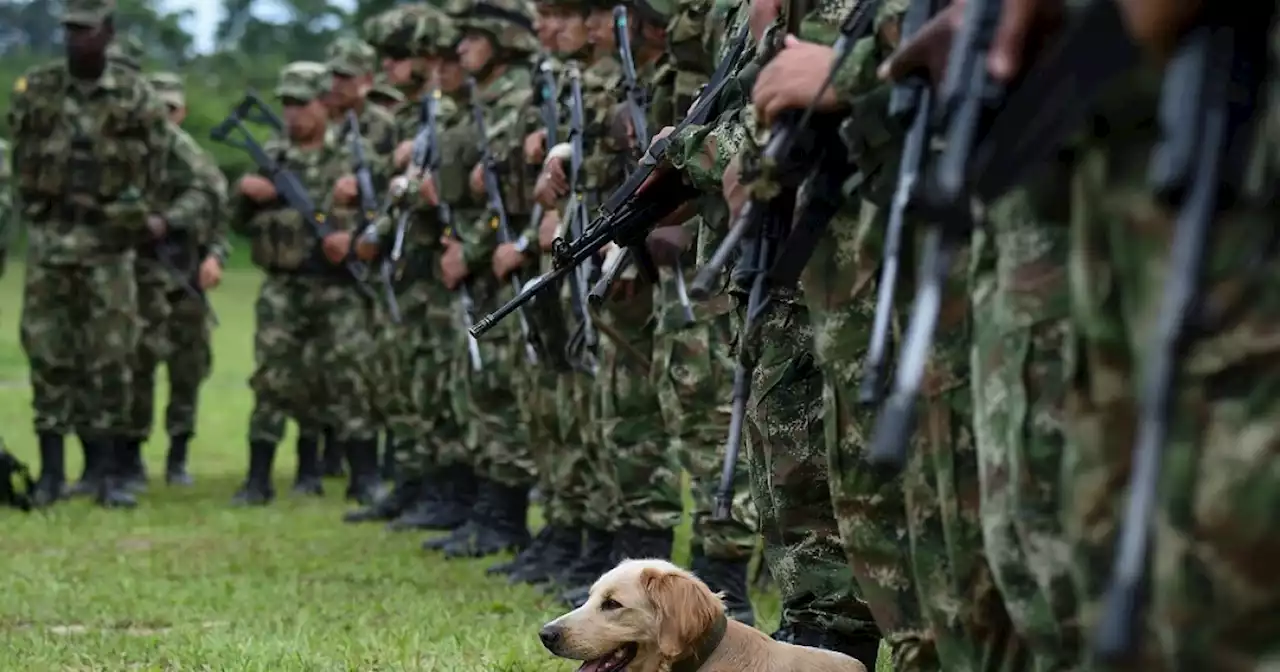 'Nos dejaban con $30.000 al mes': soldados denuncian que militares les quitaban casi todo el sueldo