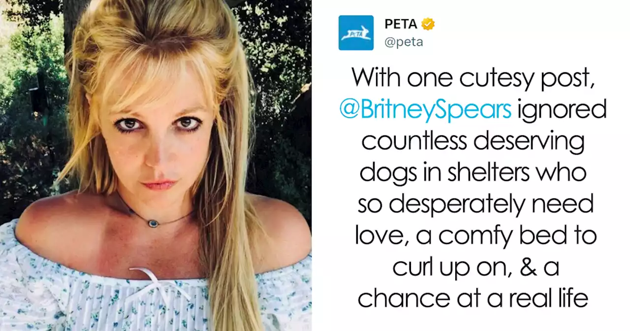 PETA Calls Out Britney Spears For Buying A New Puppy Instead Of Adopting One