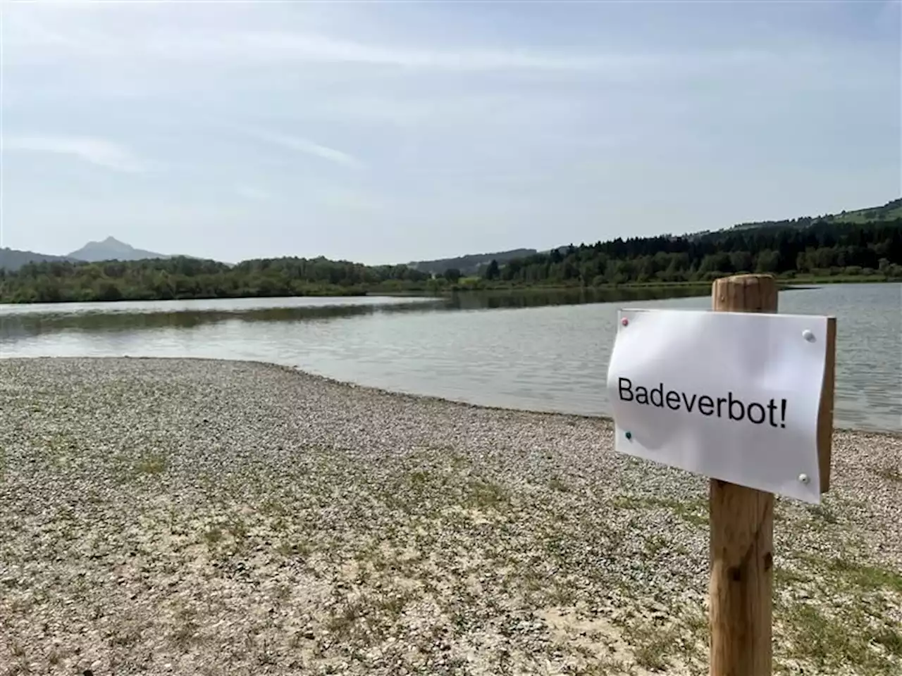 Fäkalkeime: Badeverbot am Grüntensee sorgt für Ärger