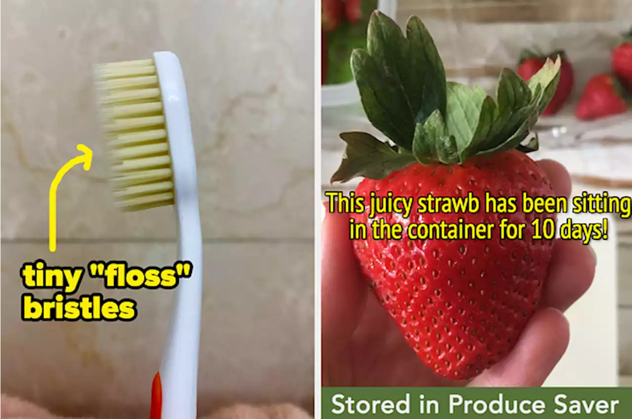 If You Have Trust Issues, These 37 Products Won't Let You Down