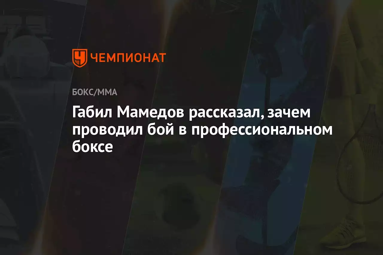 Габил Мамедов рассказал, зачем проводил бой в профессиональном боксе