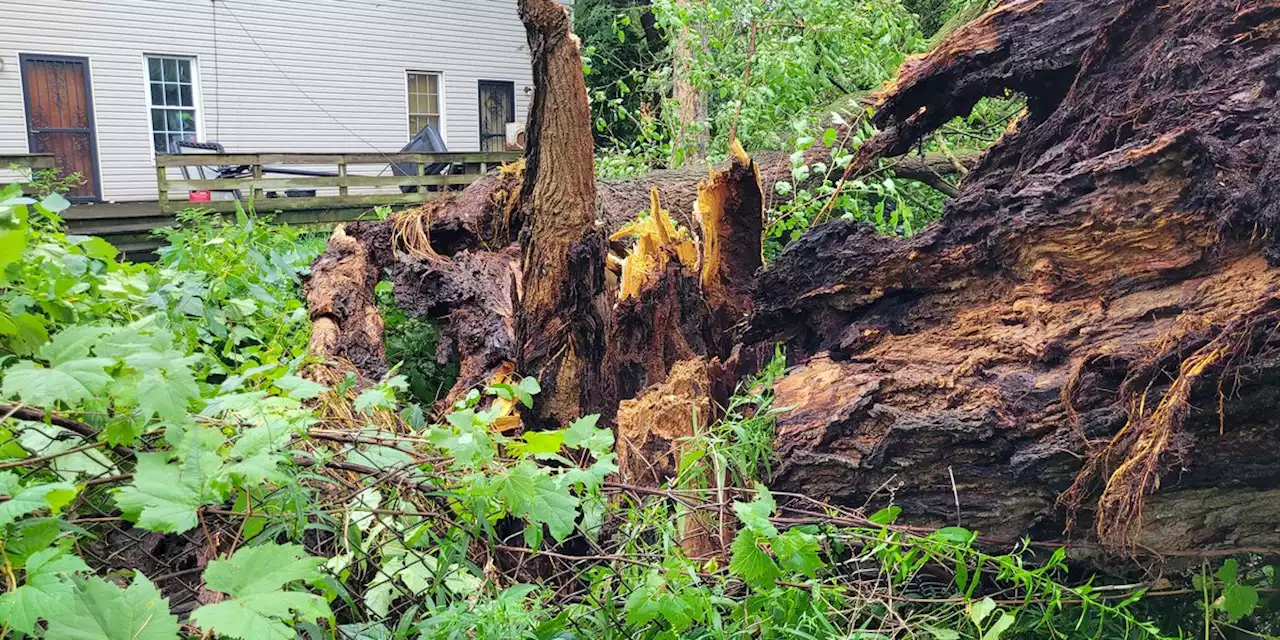 National Weather Service confirms EF1 tornado struck Cleveland’s East Side