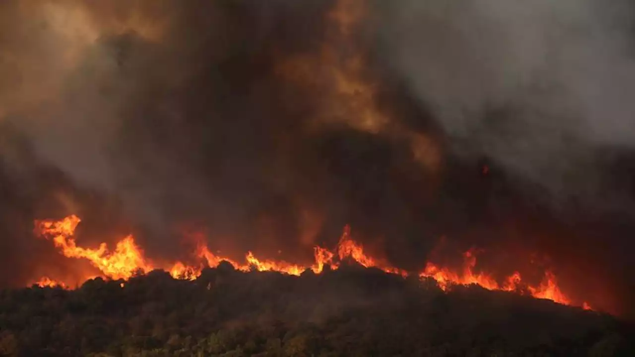 Greek police arrest dozens for arson as EU's largest-ever wildfires rage