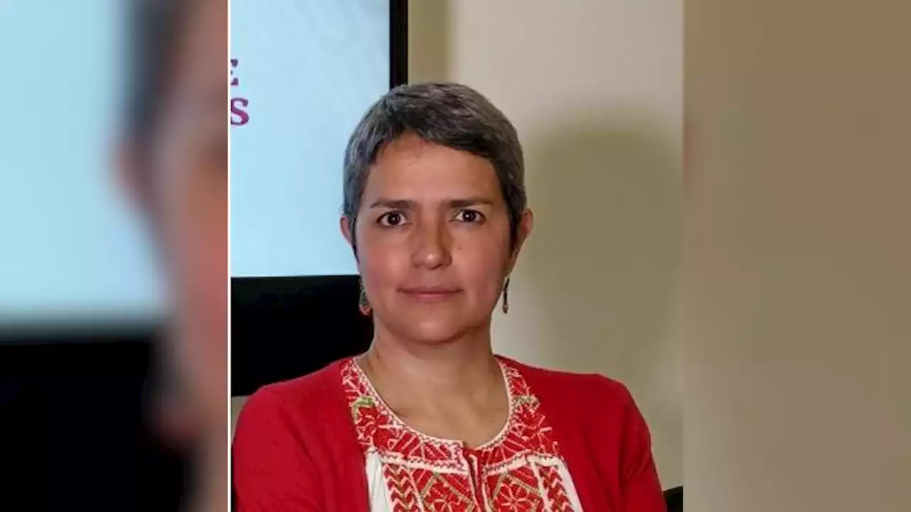 ¿Quién es Karla Quintana y por qué renuncia a la Comisión Nacional de Búsqueda de Personas de México? | Video