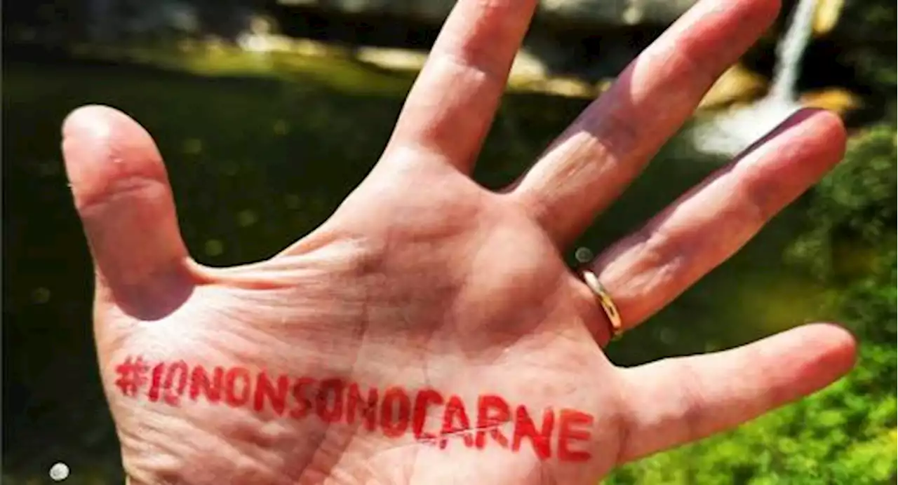 Stupro Palermo: centinaia di adesioni alla campagna social #iononsonocarne