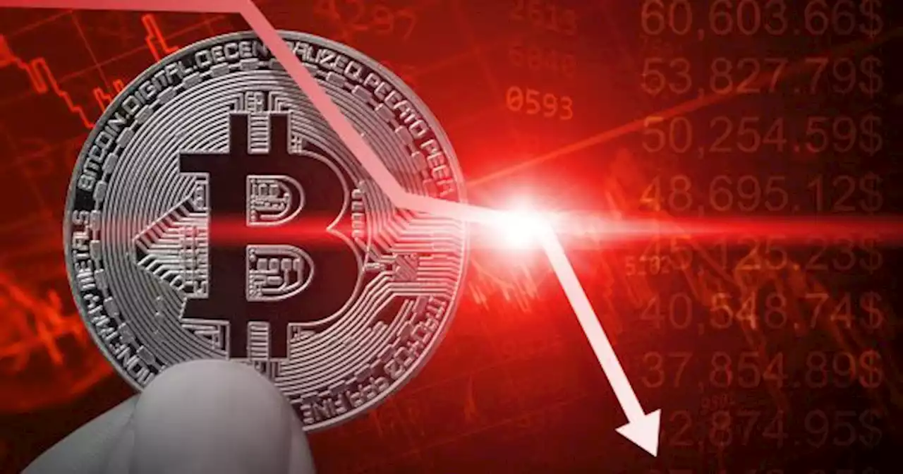 La escalofriante predicci�n de Bitcoin que trae de vuelta el fantasma del 2022: mete miedo a inversores