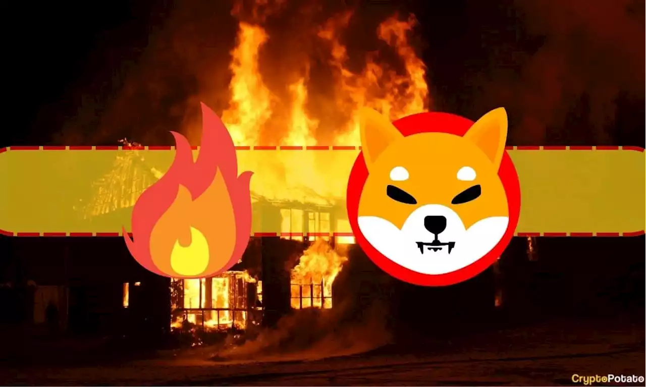 Over $3 Billion Worth of Shiba Inu (SHIB) Tokens Have Been Burned