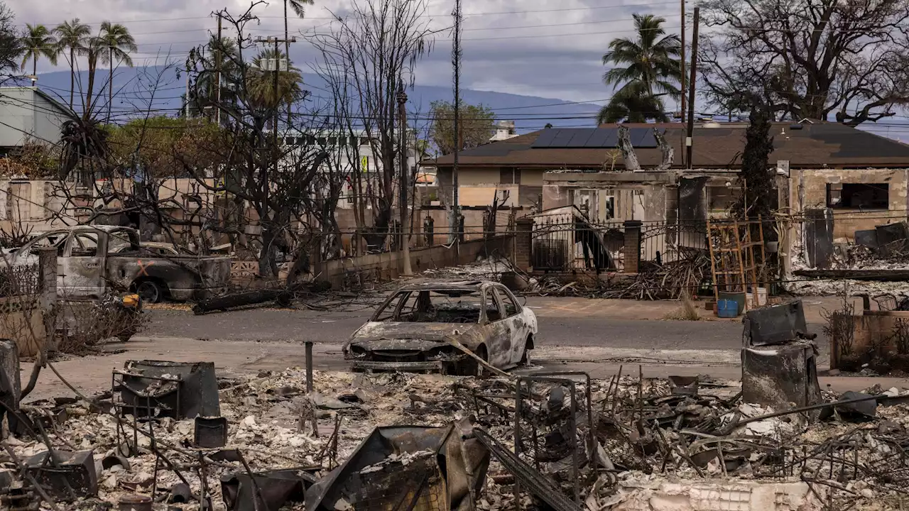 - Maui sucht nach 388 vermissten Menschen