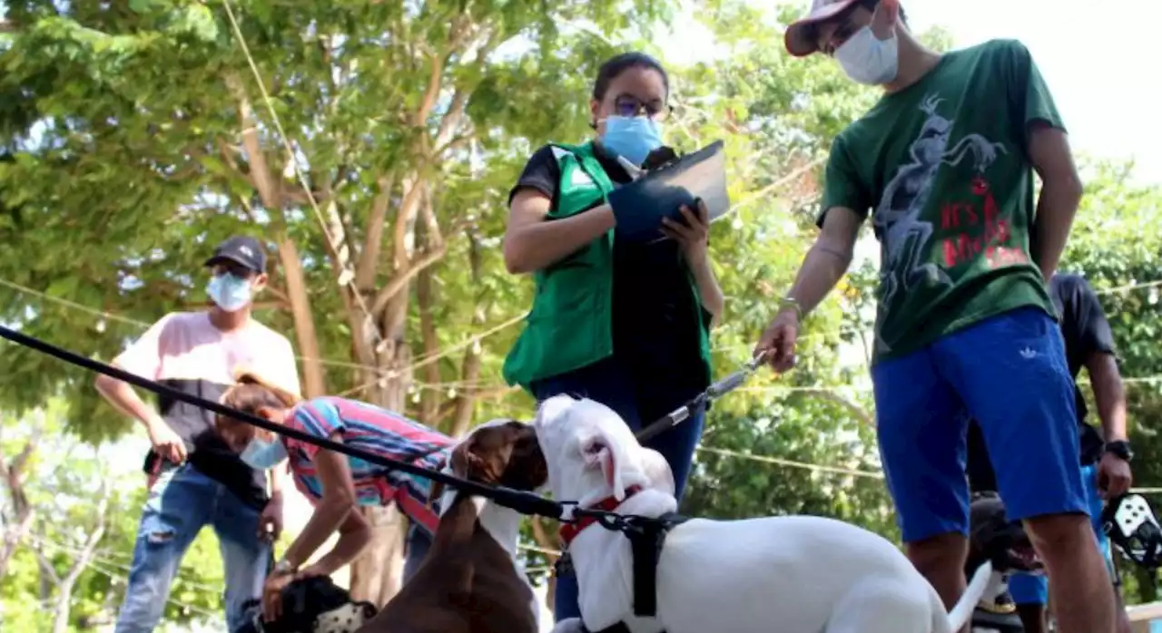 Distrito convoca a Gran Jornada de Bienestar Animal este sábado