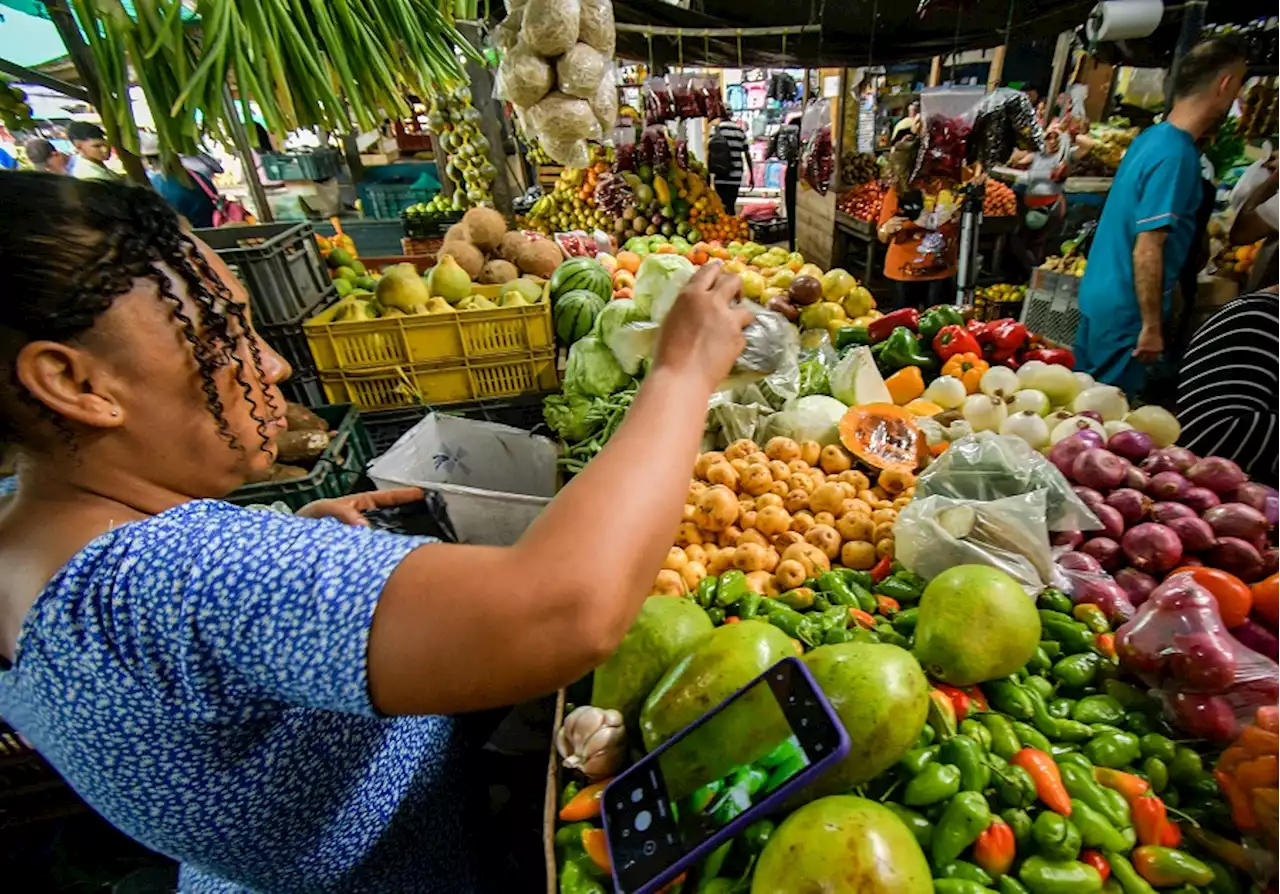 Frutas, verduras y tubérculos bajaron sus precios en Barranquilla