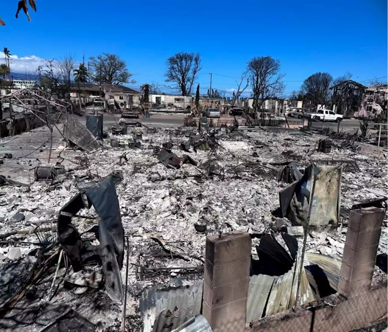 Hay 388 desaparecidos por incendios en Hawái: sigue la búsqueda