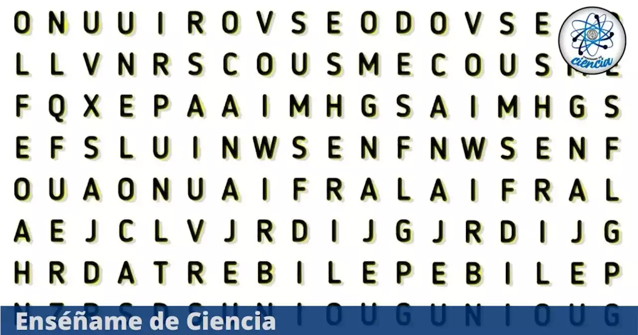 Acertijo visual FÁCIL de resolver: Encuentra la palabra “CLIMA” en la sopa de letras