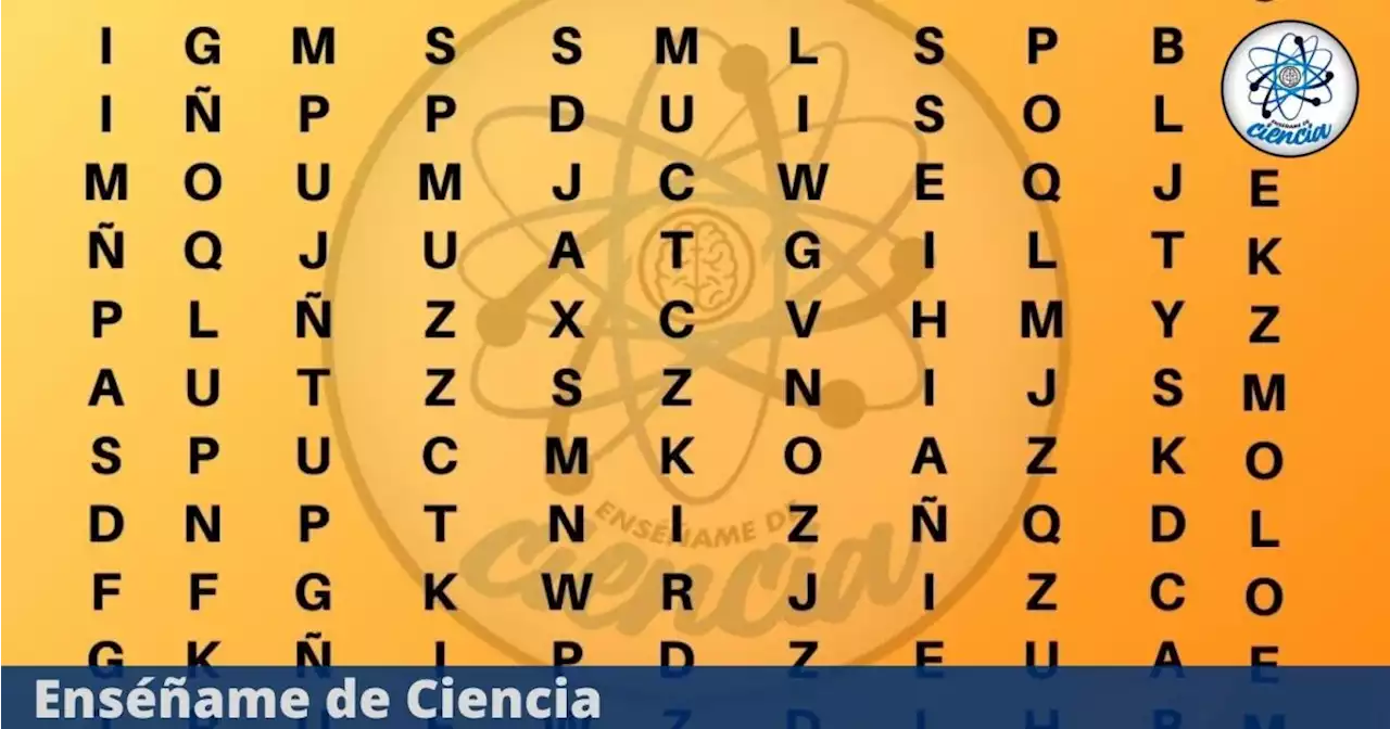 Acertijo visual nivel PRO: Encuentra la palabra MÚSICA en la sopa de letras; tienes 5 segundos