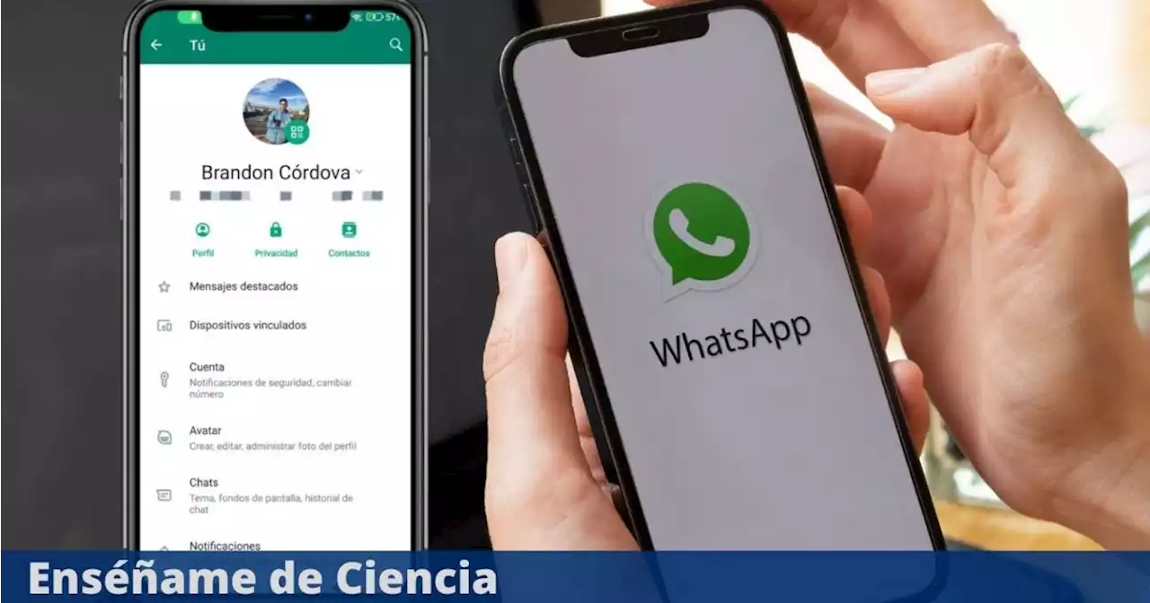 WhatsApp rediseña la aplicación por completo: descubre cuáles son los cambios