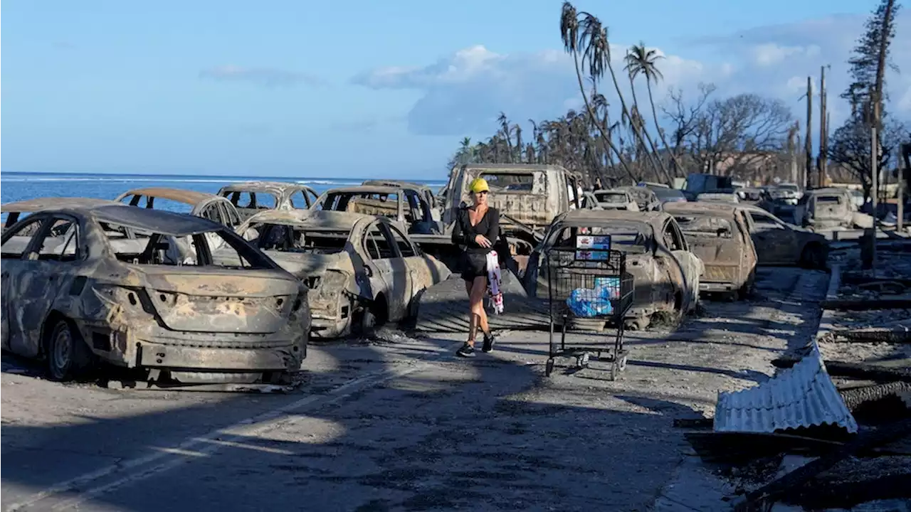 Katastrophen: Nach tödlichen Bränden auf Maui: Klage gegen Stromversorger