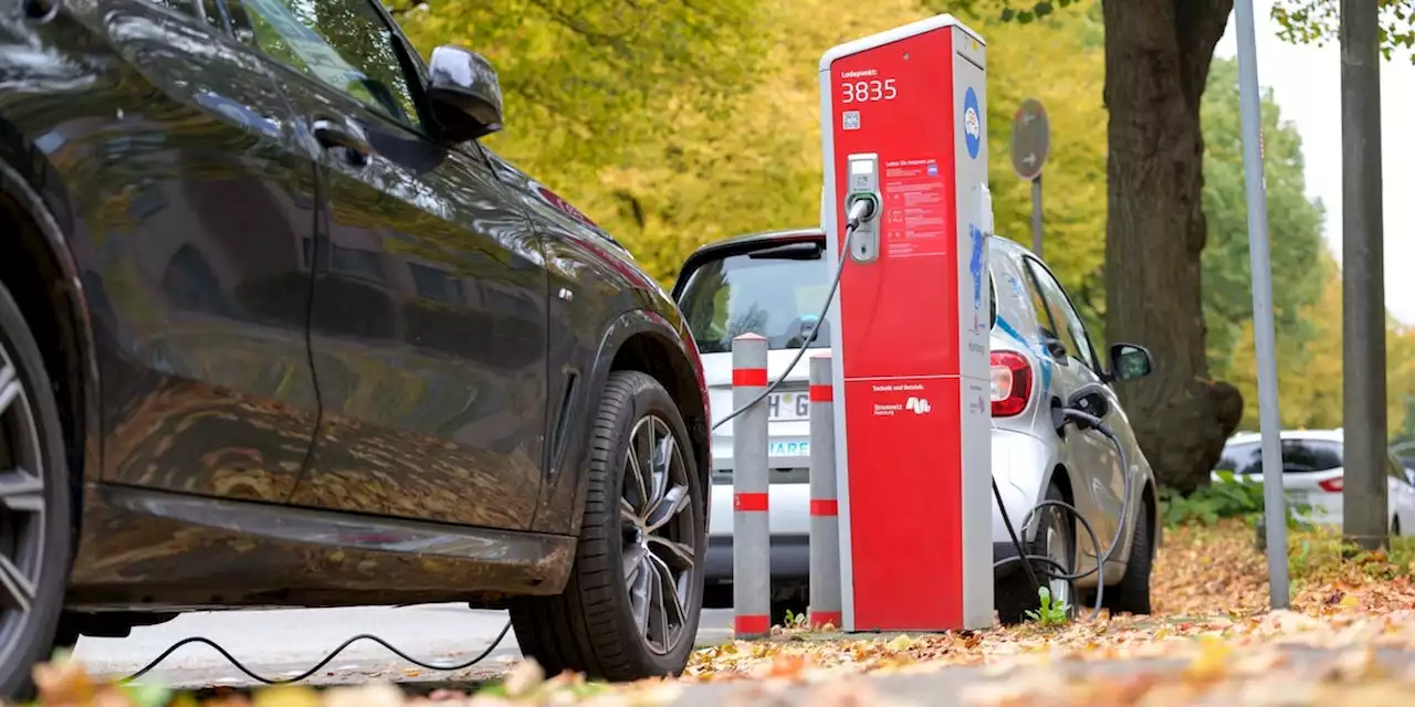 Die 15 Millionen Elektroautos parken nur im Luftschloss der Ampel