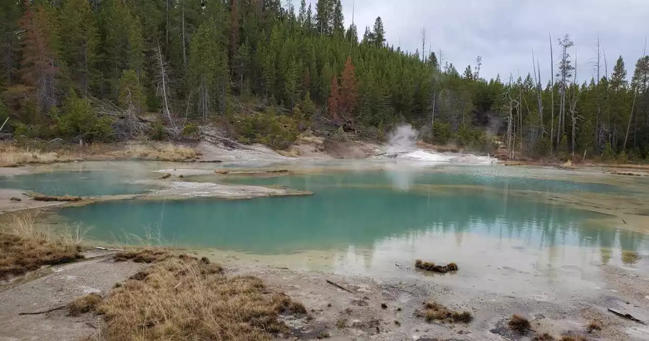 Man banned from Yellowstone National Park, facing federal charges after traveling off-trail under influence