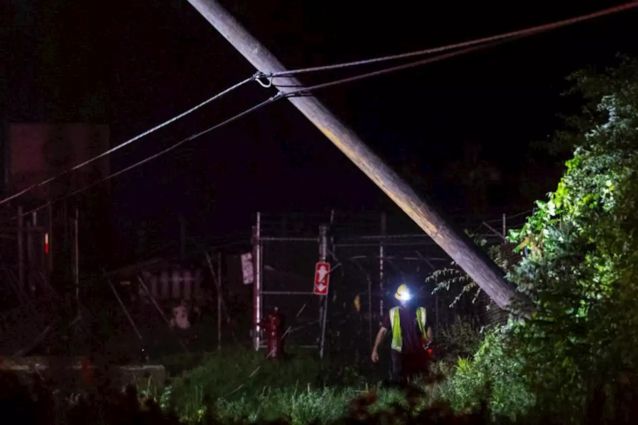 At least five people dead after Michigan storms down trees and power lines