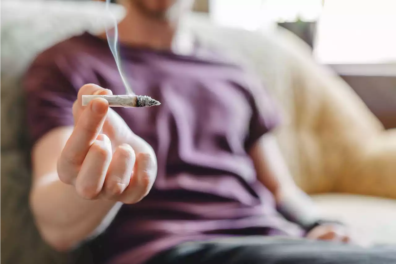 No, Marijuana Smoke Is Not Safer Than Cigarette Smoke