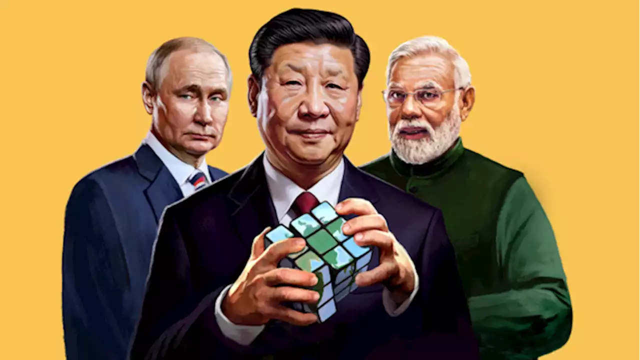 BRICS-Gruppe: Was China, Russland, Indien und die neuen Mitglieder vorhaben