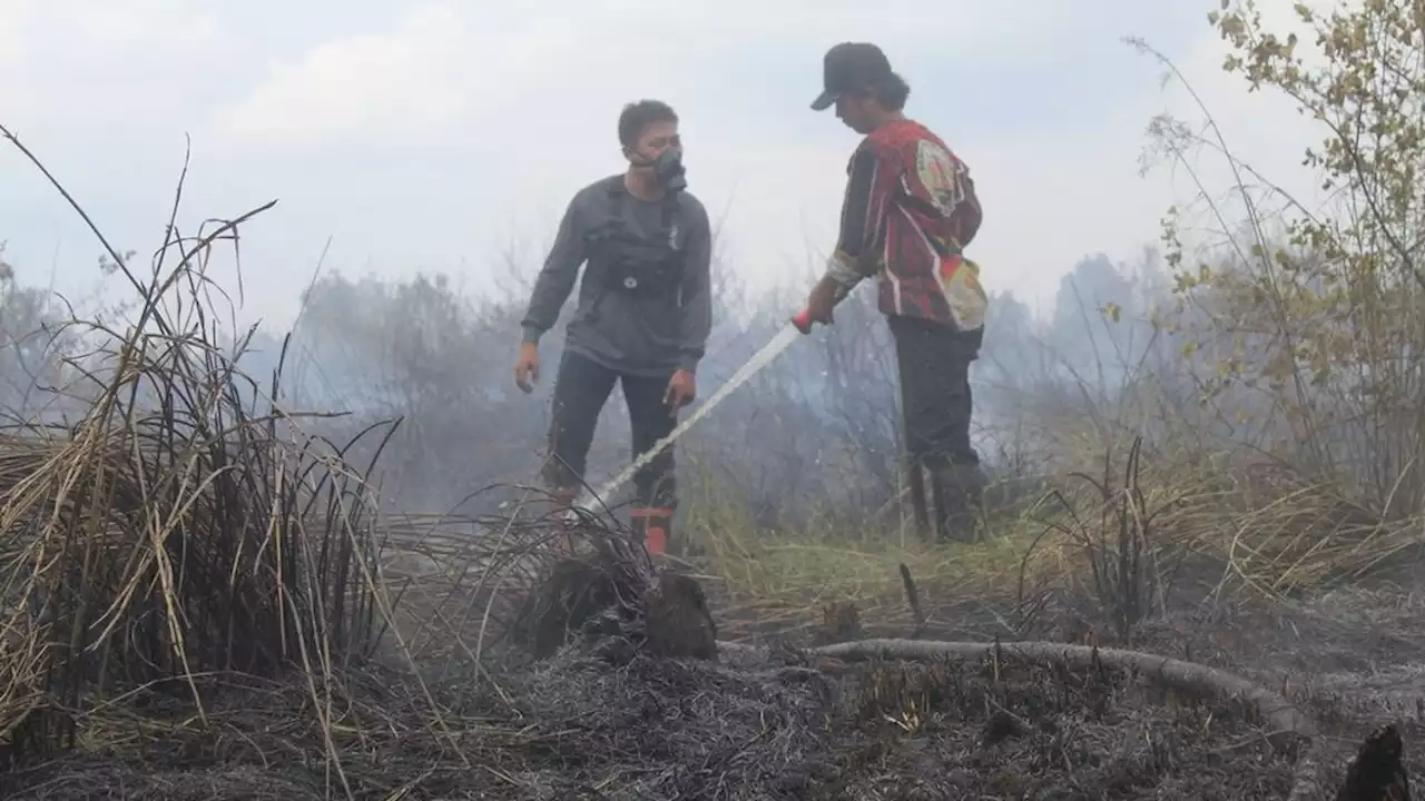 Api Sulit Dipadamkan, Petugas Kewalahan Tangani Karhutla di Kalteng