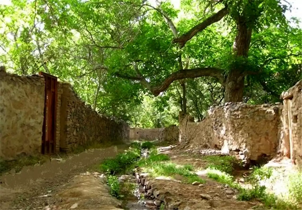 مخالفت جدی کمیسیون ماده ۵ با تغییر کاربری‌ها در هر نقطه استان