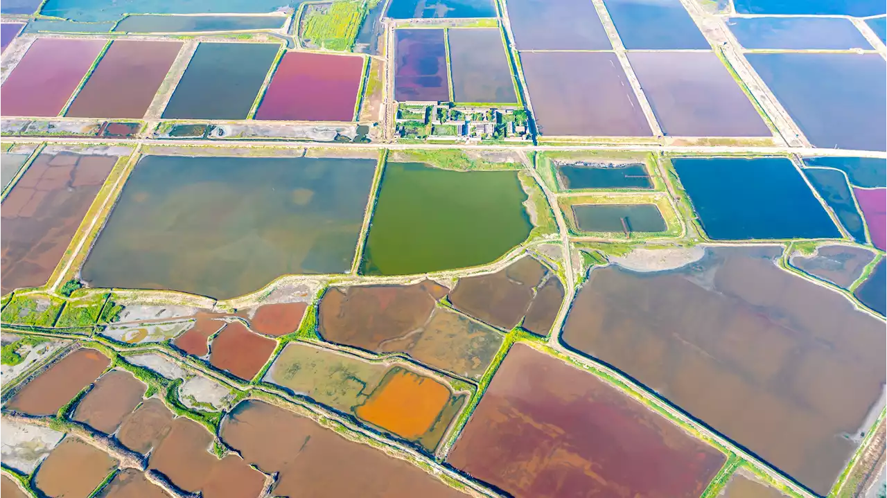 El lago salado Yuncheng, la imagen más bella y colorida de la naturaleza en China