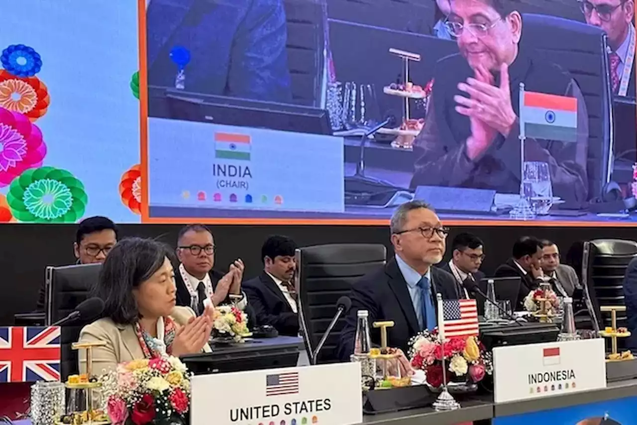 Di Hadapan Peserta G20 India Mendag Zulhas Dorong Transformasi Perdagangan Digital