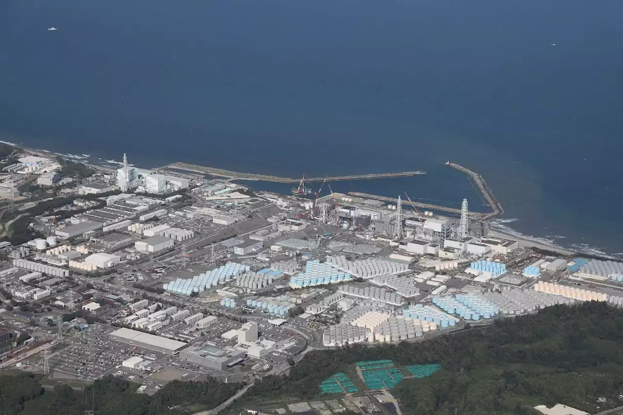 Rejet de l'eau de Fukushima: résultats concluants des premiers tests de radioactivité japonais