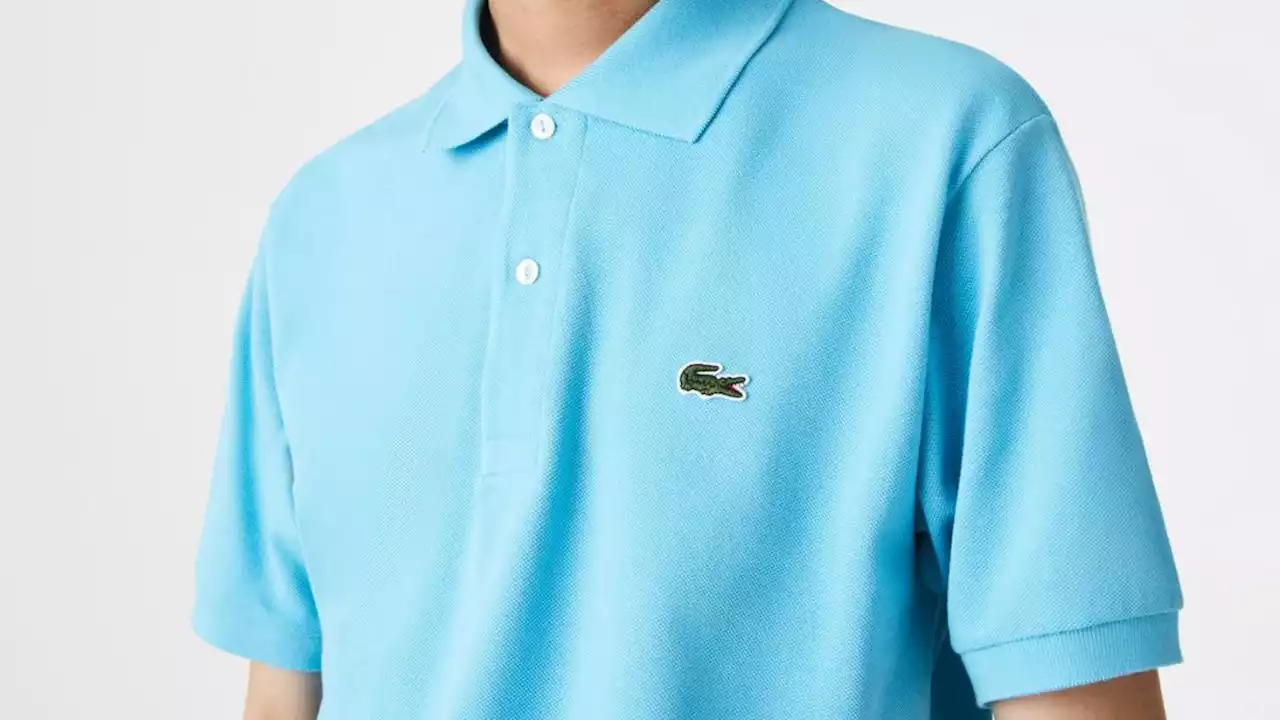 Avec 40% de remise immédiate, craquez pour cet incontournable polo Lacoste