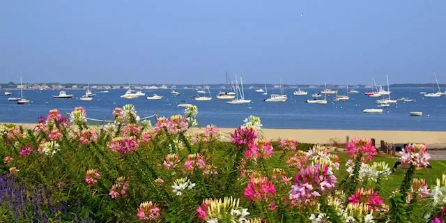 Hometown Pride and the Allure of the Ocean in the Mid-Cape