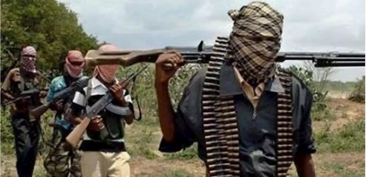 Bandits kill three, injure seven, kidnap eight in Zamfara