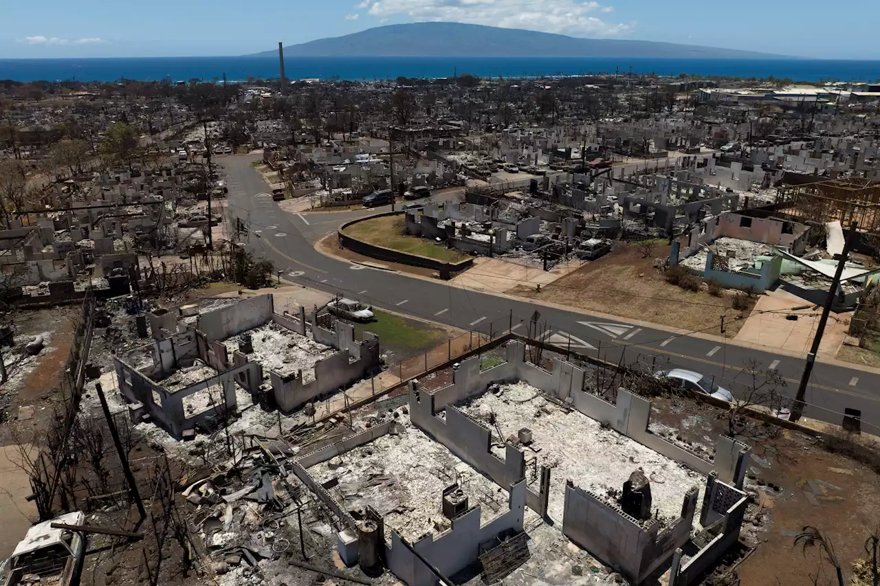 Maui County sues utility company over wildfires that killed more than 100 people