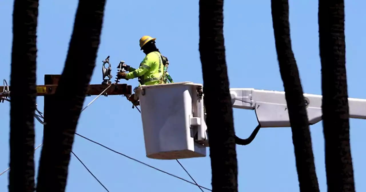 Maui County sues Hawaiian Electric over failure to shut off power lines despite warnings