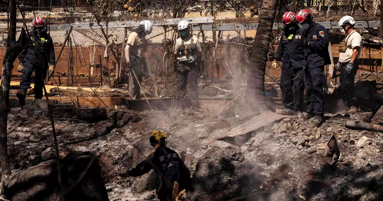 Nearly 400 people still missing after Maui fires