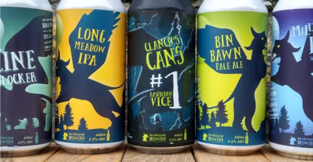 'We can't serve our beers in there': Laois brewery calls on Electric Picnic to promote local