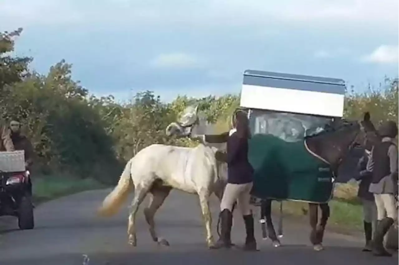 Haar leven lag in duigen sinds er beelden opdoken van haar terwijl ze haar pony slaat, nu is ze helemaal vrijgesproken