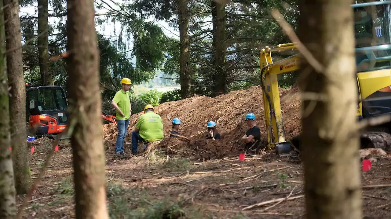 Kein Massengrab deutscher Soldaten gefunden