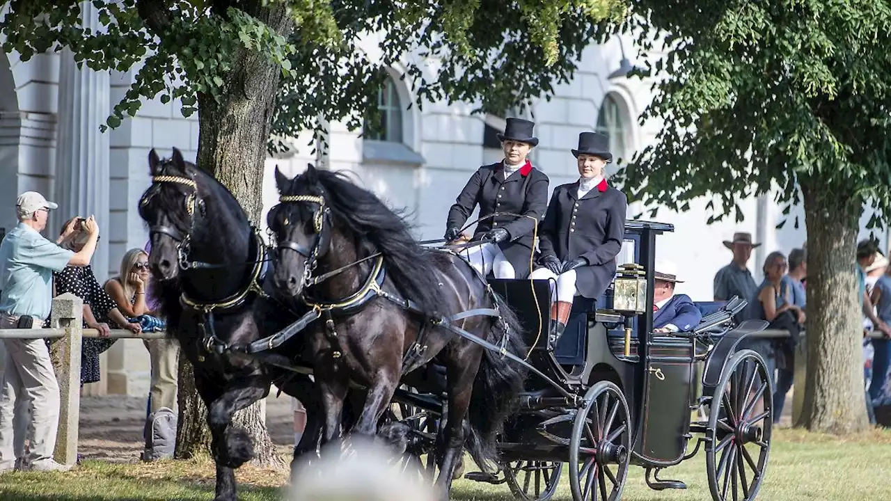 Pferde und Show bei Pferdetagen im Landgestüt Redefin