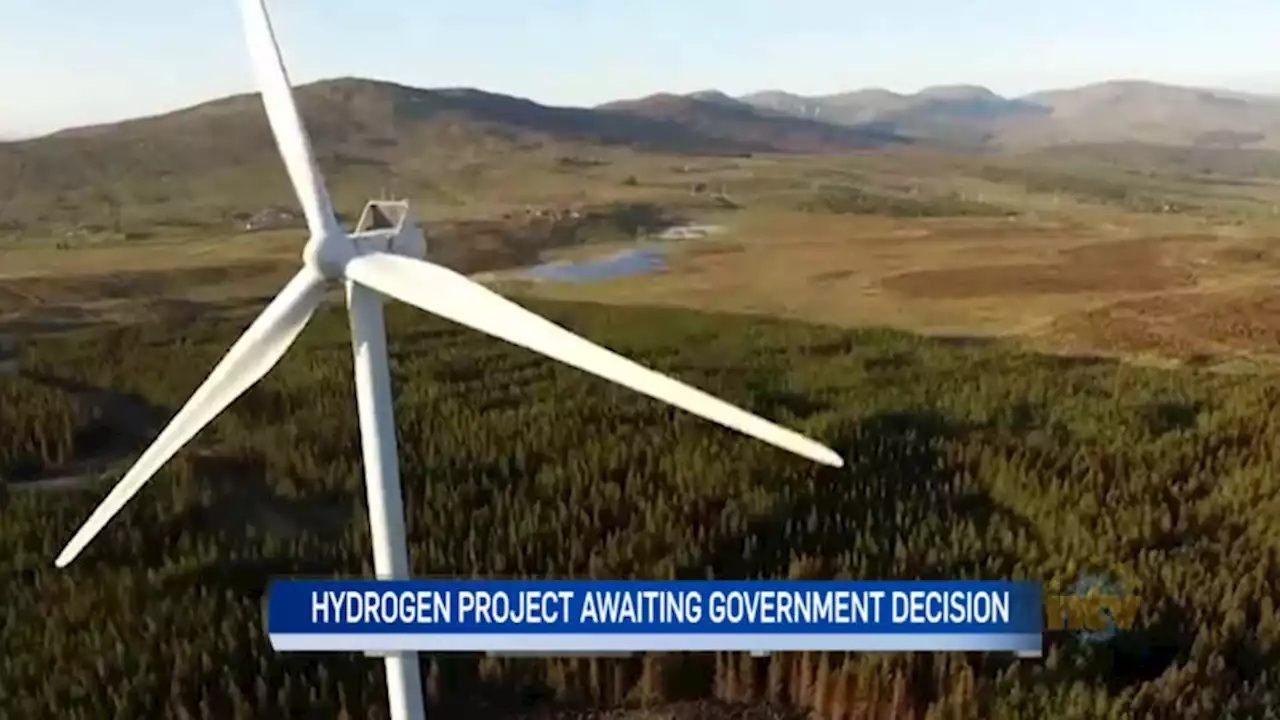 Company proposing wind-powered hydrogen production facility in Stephenville waiting on governments approval