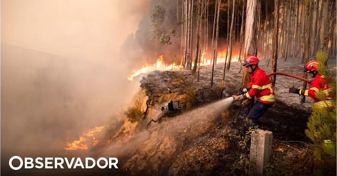 Mais de 100 concelhos de 13 distritos em perigo máximo de incêndio