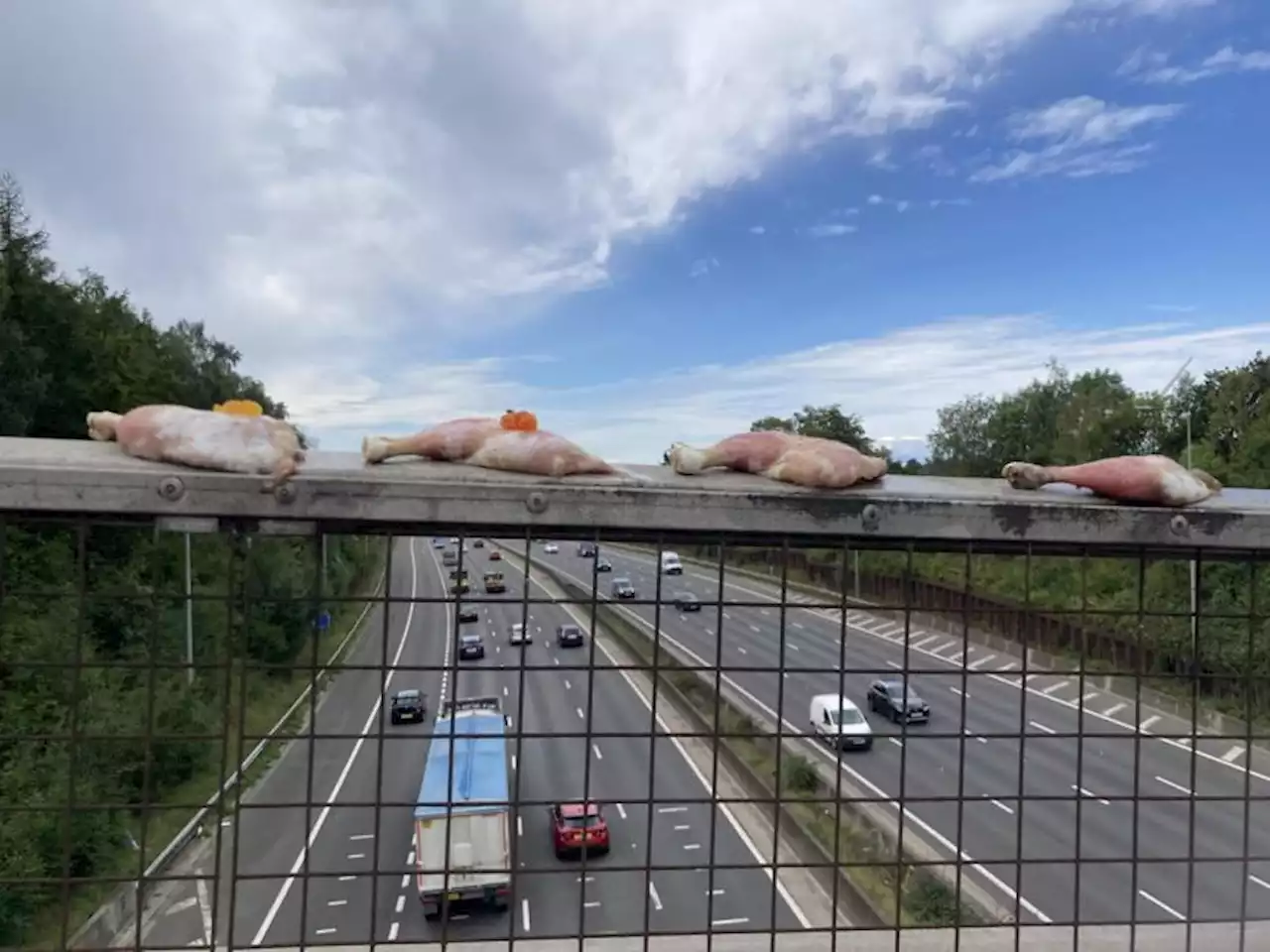 Chicken legs with Jelly Babies perched on M25 bridge